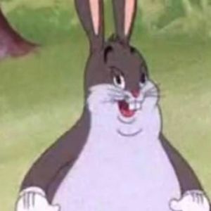 Meet your Posher, Kyler